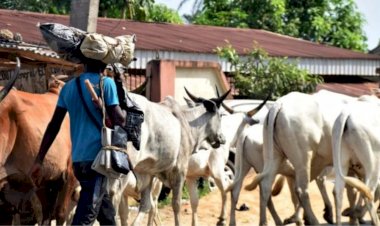 There is tension in Igangan, Ibarapa North Local Government Area of Oyo State due to the quit notice Sunday Igboho issued to the Fulani.