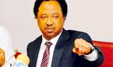 Don't Judge Fulanis By The Sins of Criminals, Senator Shehu Sani to Gov. Akeredolu!