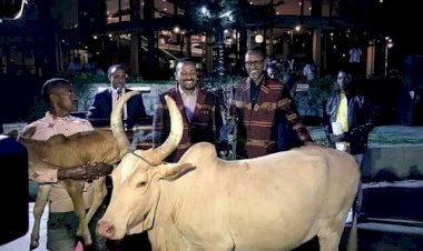 President Paul Kagame of Ruwanda laid a carpet to a cow and the calf been lifted by one of his guards