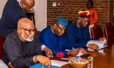 South-west Govs Ban  Open Grazing