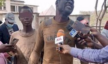 Livestock Guards Arrest Father-And-Son Cattle Rustlers, Underage Herder In Benue