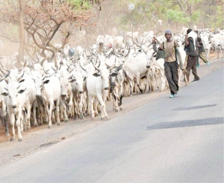 Herder Killed, 5 Arrested In Zangon Kataf