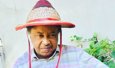 Shehu Sani reacts as Nnamdi Kanu’s ESN attacks herdsmen, kills dozens of cows