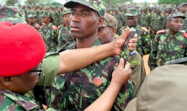 Nigeria Offers To Help Mozambique Fight Terrorism