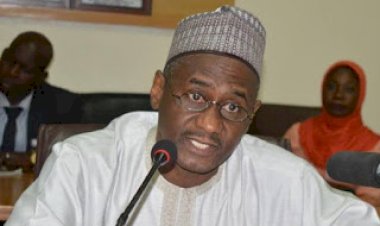 Fulani Persecution: Something would soon happen if Southern leaders continue to remain silent — Prof Usman warns