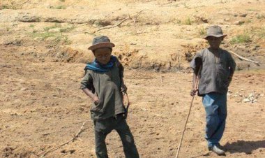 ‘Fulanis, Others Have Right To Live Anywhere In Nigeria’ – Igbo Professionals