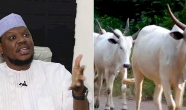 Investing In Cows Better Than Cryptocurrency – Adamu Garba