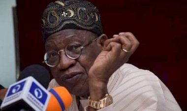 Lai Mohammed accuses Amnesty Int’l of plot to destabilise Nigeria