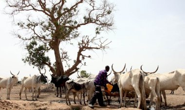 De escalating the Fulani Hysteria