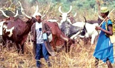 Attah of Aiyede Kingdom to install Fulani as chief