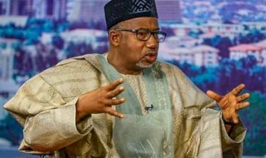 ‘Please Don’t Carry AK-47’; Bauchi Governor Appeals To Herdsmen
