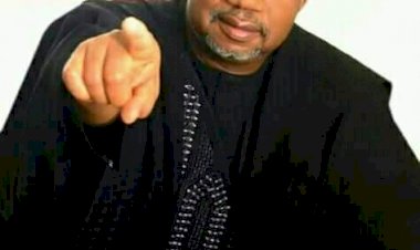 Bauchi Gov: No Apologies For Criticising Those Who Label Fulanis As Criminals