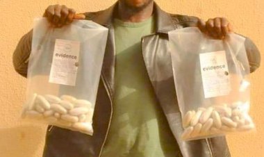 Transborder drug trafficker arrested in Sokoto with N1bn worth of cocaine