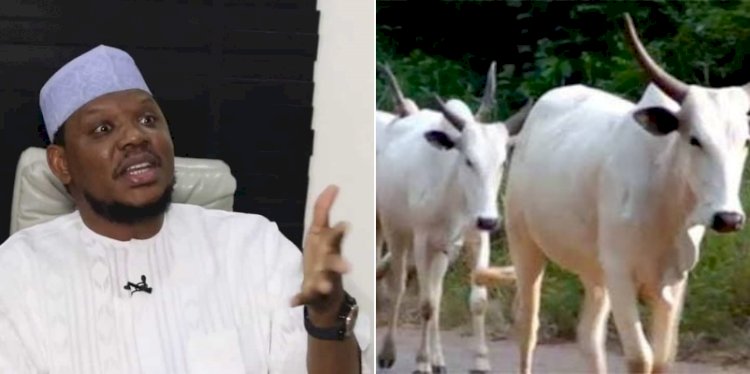 Investing In Cows Better Than Cryptocurrency – Adamu Garba