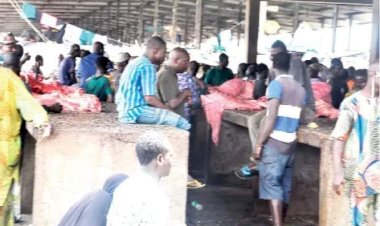 Blockade: Beef Scarcity, Rising Cost Of Food Items Hit Southern States