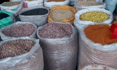 Food items will not be transported to southwest until Fulanis are safe – Miyetti Allah