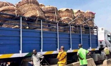 Movement Of Food Trucks Resumes From North To South