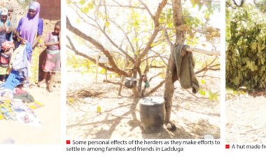 How South West Thugs Burnt Our Homes, Cattle And Food – Fulani Returnees To Kaduna