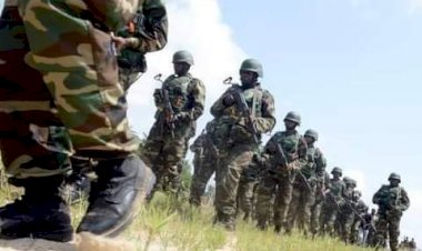 Nigerian troops eliminate many ISWAP fighters at 4 Camps in Abadam