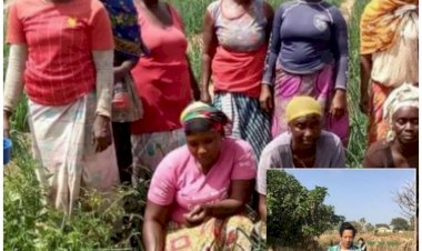 The Gambia: Women gardeners cried as Chinese firm fight to acquire their lands