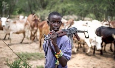 Fact-Check: These Pictures Of Armed Herders Are Not From Nigeria