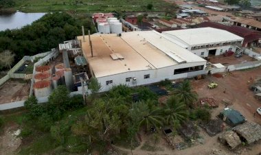 The Gambia: Chinese Fishmeal Company Burnt Down By Angry Protesters