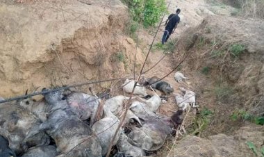 Nigerian govt and Nigerians are not sincere on security