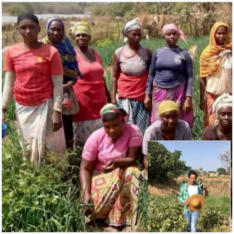 The Gambia: Women gardeners cried as Chinese firm fight to acquire their lands