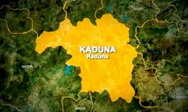 Zangon-Kataf: We lost seven kinsmen, 850 cattle in 5 days – Fulani community