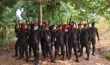 BREAKING: Biafra agitators kill 7 northerners in Imo
