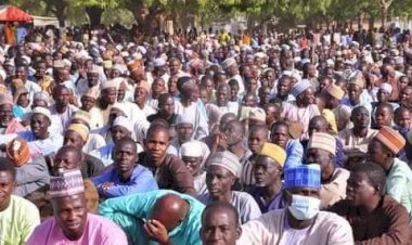 Bama: Zulum shares N200m, food to 70,000 households