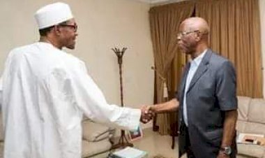 Buhari Offers Oyegun Fresh Appointment