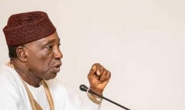 Nigerian govt registers 5.7m farmers nationwide – Minister