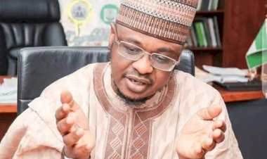 Disquiet As America Places Nigerian Minister On Watch List