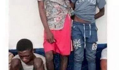 We Tried To Kill Him Because He Is Far Brilliant Than Us - Jealous Friends Confesses After Arrest