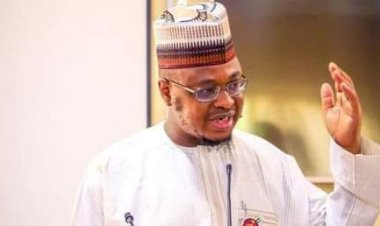 Verify your SIMs using NIN or else... - Pantami warns Nigerians