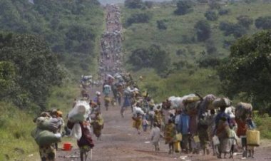 100 Northerners Leave Imo As 8 Killed, 6 Injured In Fresh Attack ipob terrorist