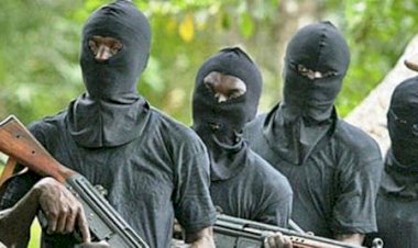 Fulani youth groups seek end to extrajudicial killings