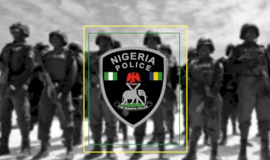 Police arrest attackers of herders in Southern Kaduna
