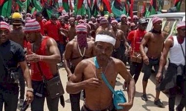 Interrogating IPOB’s Emma Powerful Threat To Spill Blood