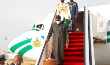 Katsina Man Hosts Ram Party To Celebrate Buhari’s Return From UK