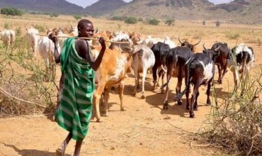 Kidnapp Amodu Shehu in Ibarapa, Demand N7 Million Ransom