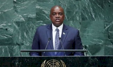 Botswana replaces finance minister with immediate effect - statement