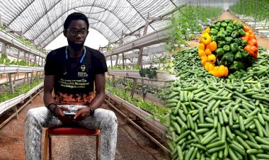 Meet young Nigerian farmer who grows crops in the air using Aeroponic techniques