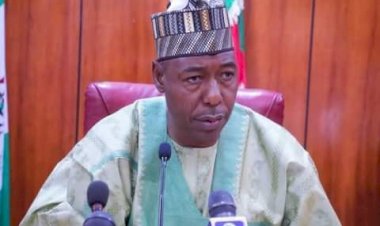Zulum to UNIMAID’s VC: Do not hide anything from FG’s visitation panel