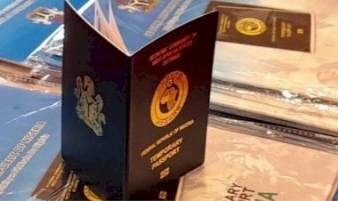 Nigerians In Diaspora To Get Passport Within 72 Hours - Aregbesola Tells Dabiri