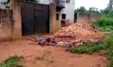 JUST IN: IPOB militants slaughter 19 Fulani herders in Anambra