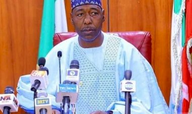 Zulum inaugurates Indimi, others as Borno University’s governing council