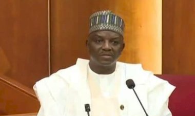 Nigerian govt to deploy solar power to 200 PHCs, 104 Unity Schools – Minister