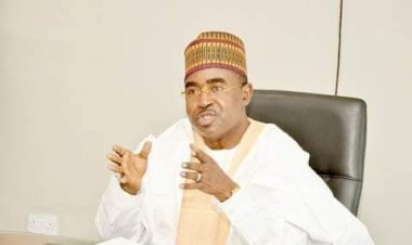 NDLEA seizes over N80bn worth of illicit drugs in 100 days, says Marwa